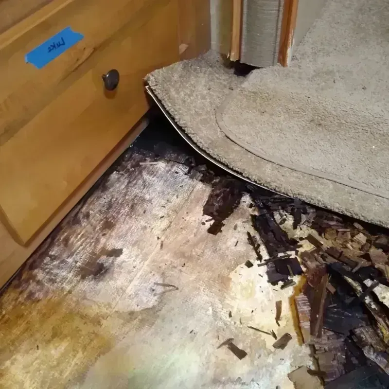 Wood Floor Water Damage in Seminole County, FL